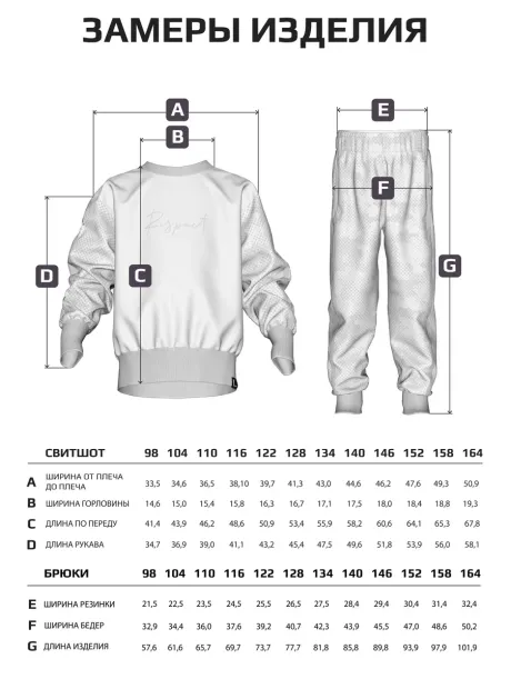 Спортивный костюм для мальчика, свитшот и брюки