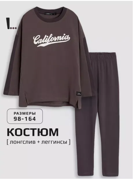 Коричневый спортивный костюм детский