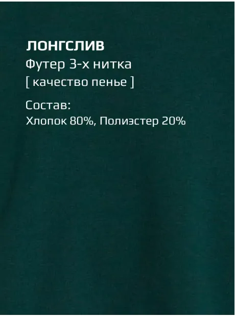 Костюм для мальчика, свитшот и брюки