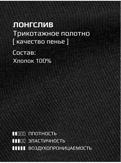 Костюм для мальчика, лонгслив и брюки