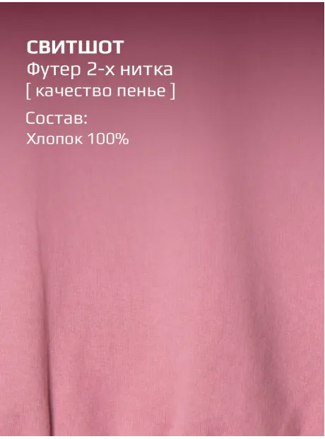 Костюм детский на осень, свитшот и шорты