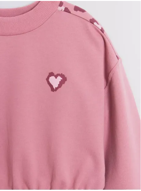 Костюм детский на осень, свитшот и шорты