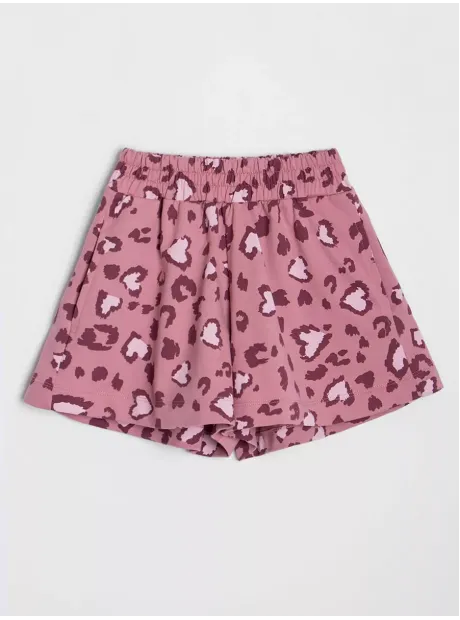 Костюм детский на осень, свитшот и шорты