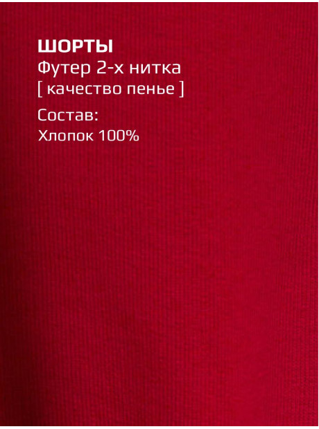 Комплект одежды/Футболка и шорты/LRTT-672/00-0031910/116