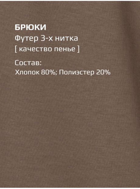 Свитшот + брюки/Средне-коричневый/LRTT-432/00-0031292/158