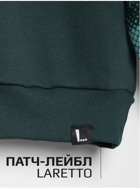 Спортивный костюм для мальчика, свитшот и брюки