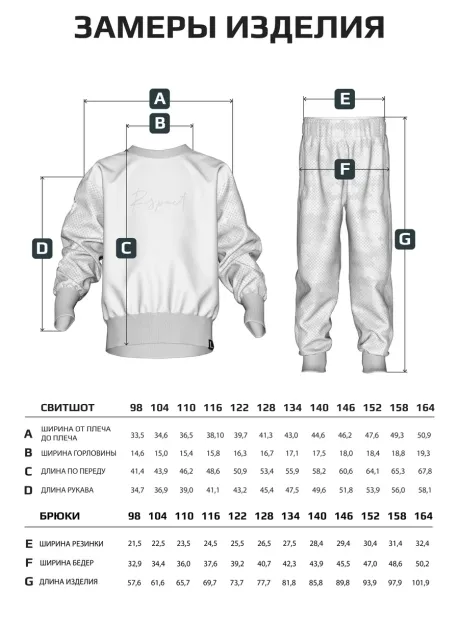 Спортивный костюм для мальчика, свитшот и брюки